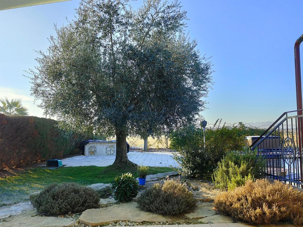 B&B Villa Letizia San Vito  Exterior foto