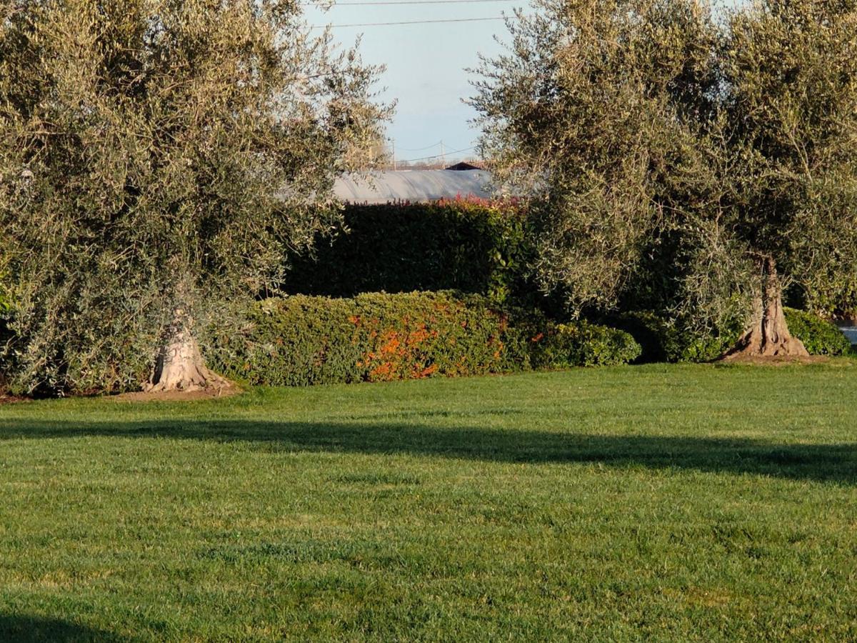 B&B Villa Letizia San Vito  Exterior foto