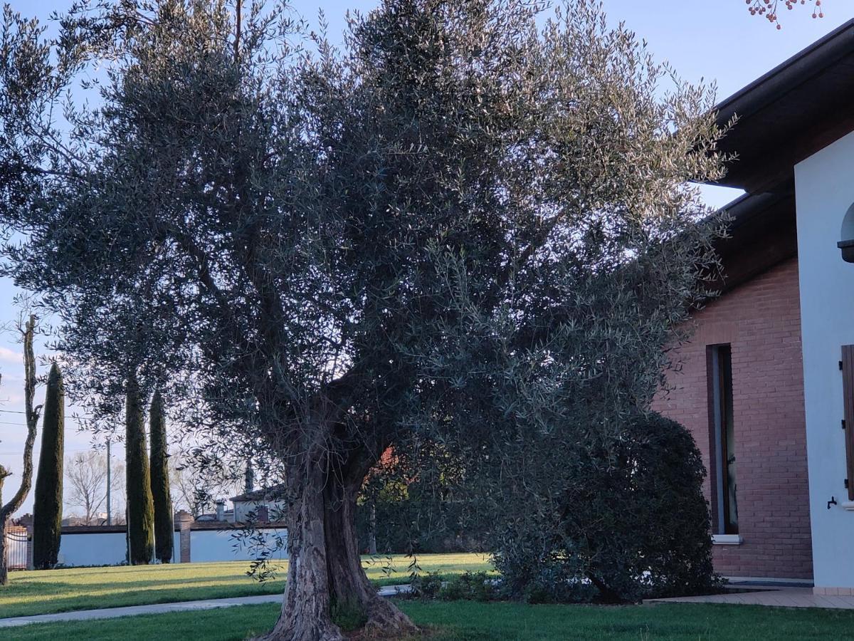 B&B Villa Letizia San Vito  Exterior foto