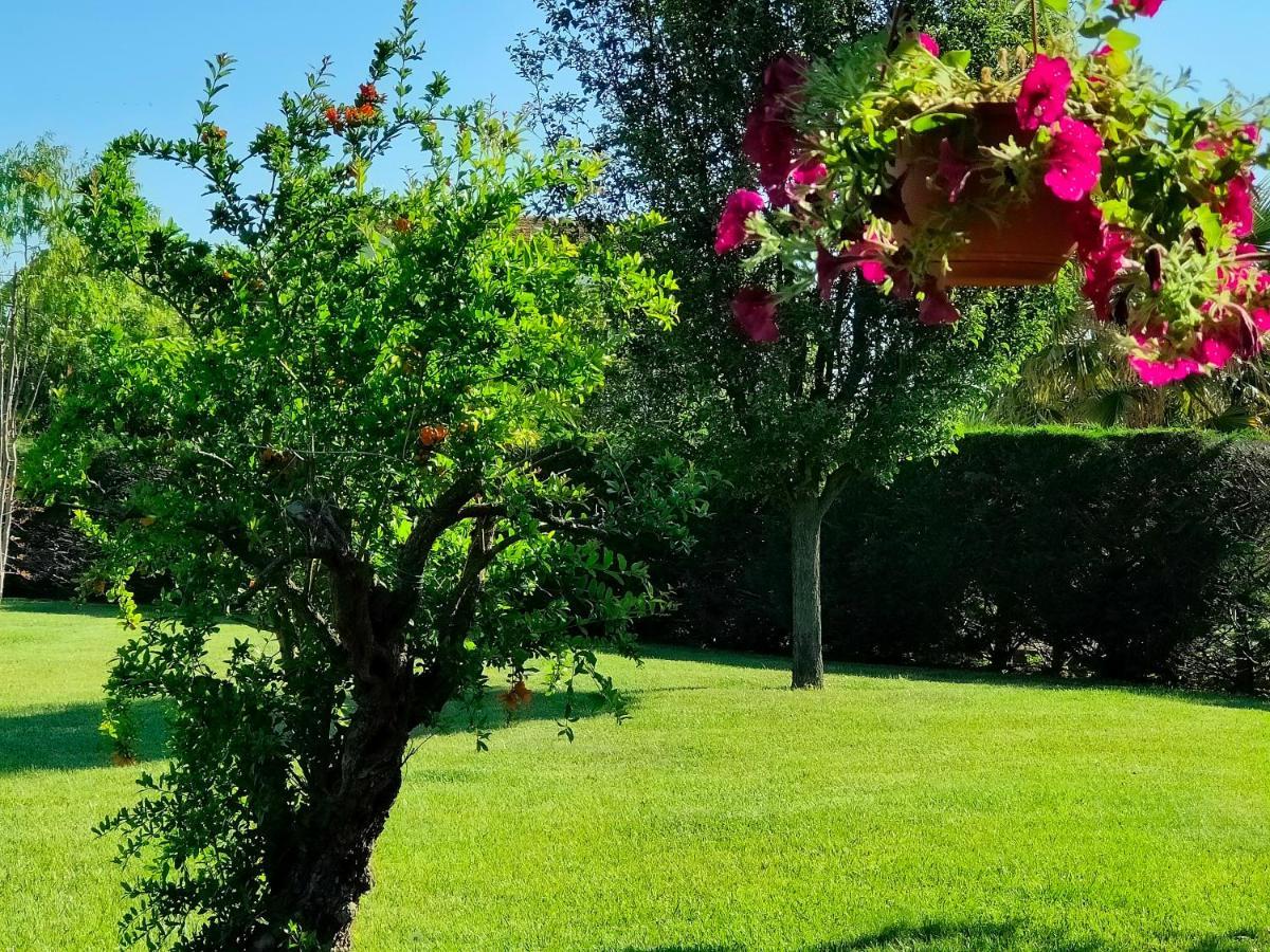 B&B Villa Letizia San Vito  Exterior foto