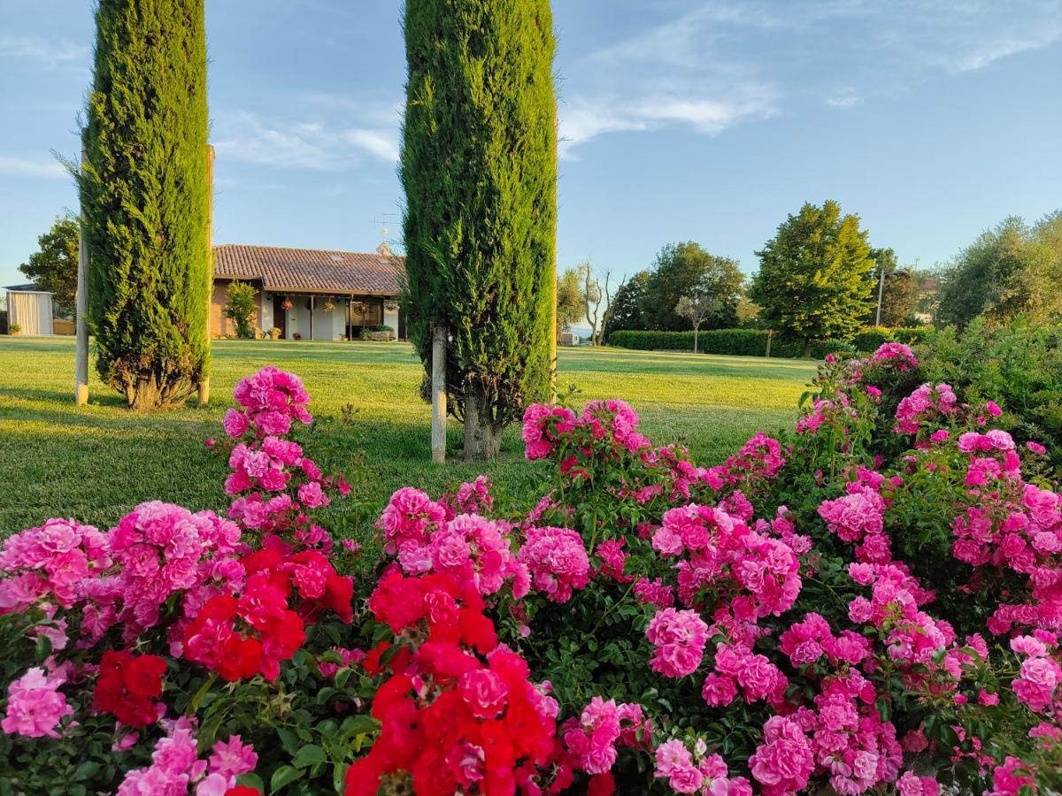 B&B Villa Letizia San Vito  Exterior foto